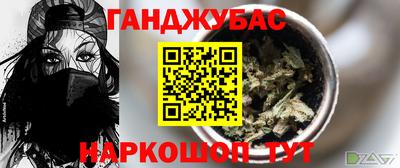 сатива Можга