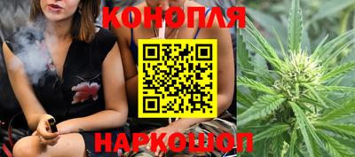 сатива Можга